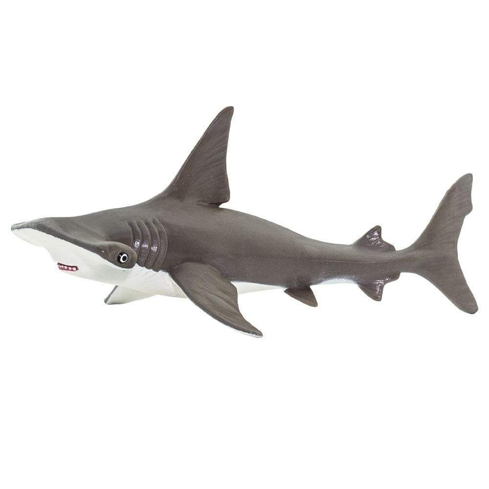 Hammerhead Shark Baby Toy | Incredible Creatures | Safari Ltd®