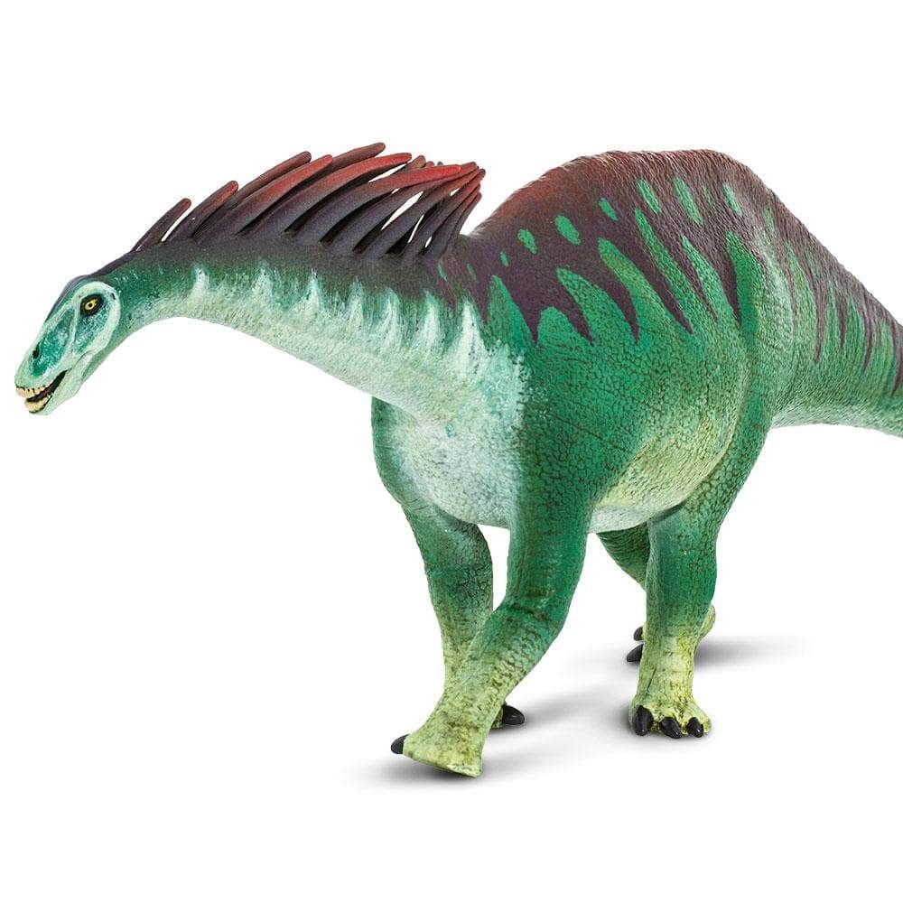 Amargasaurus Toy | Dinosaur Toys | Safari Ltd®