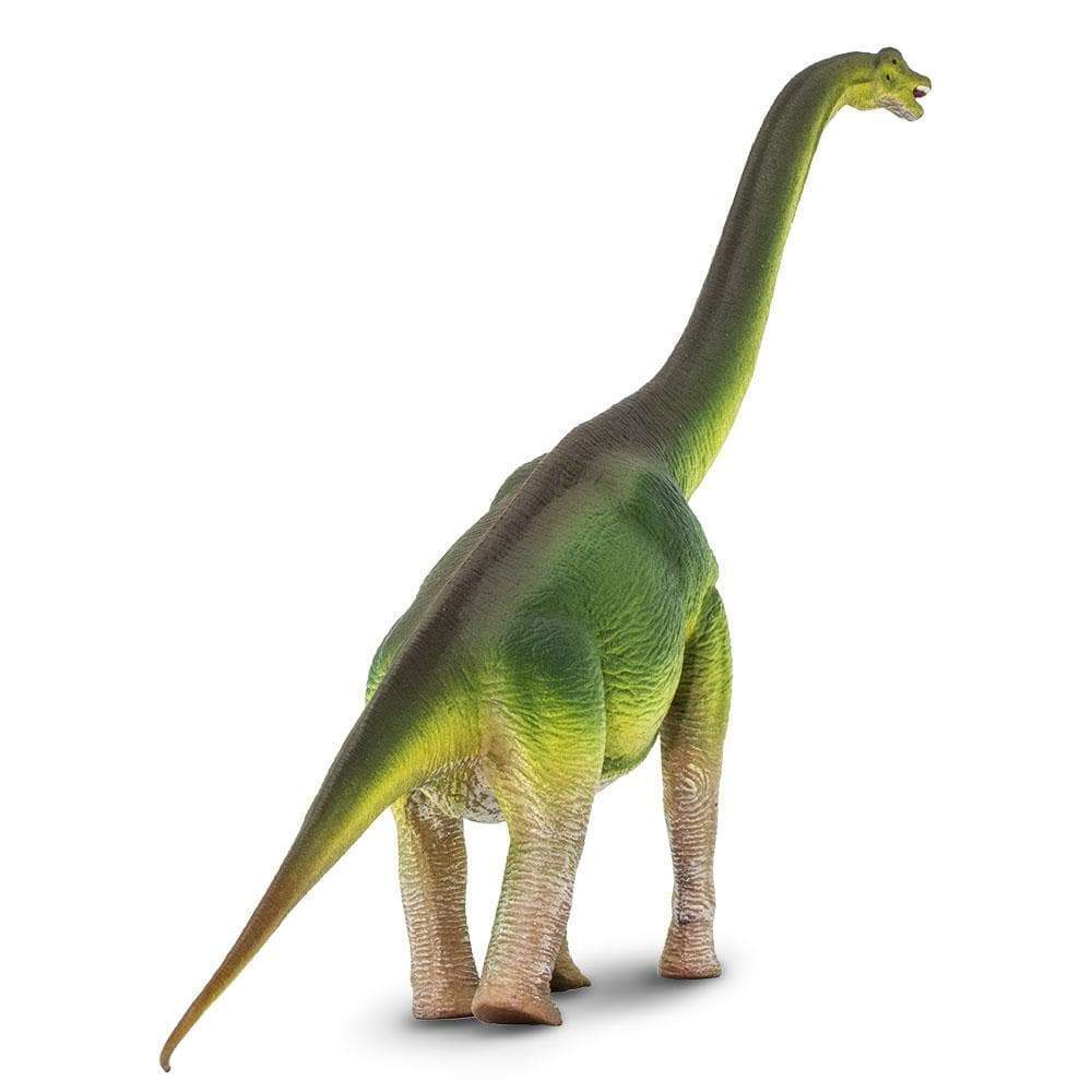 Brachiosaurus Toy | Dinosaur Toys | Safari Ltd®