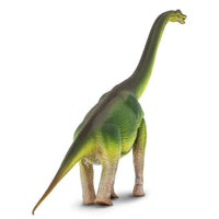 Brachiosaurus Toy | Dinosaur Toys | Safari Ltd®