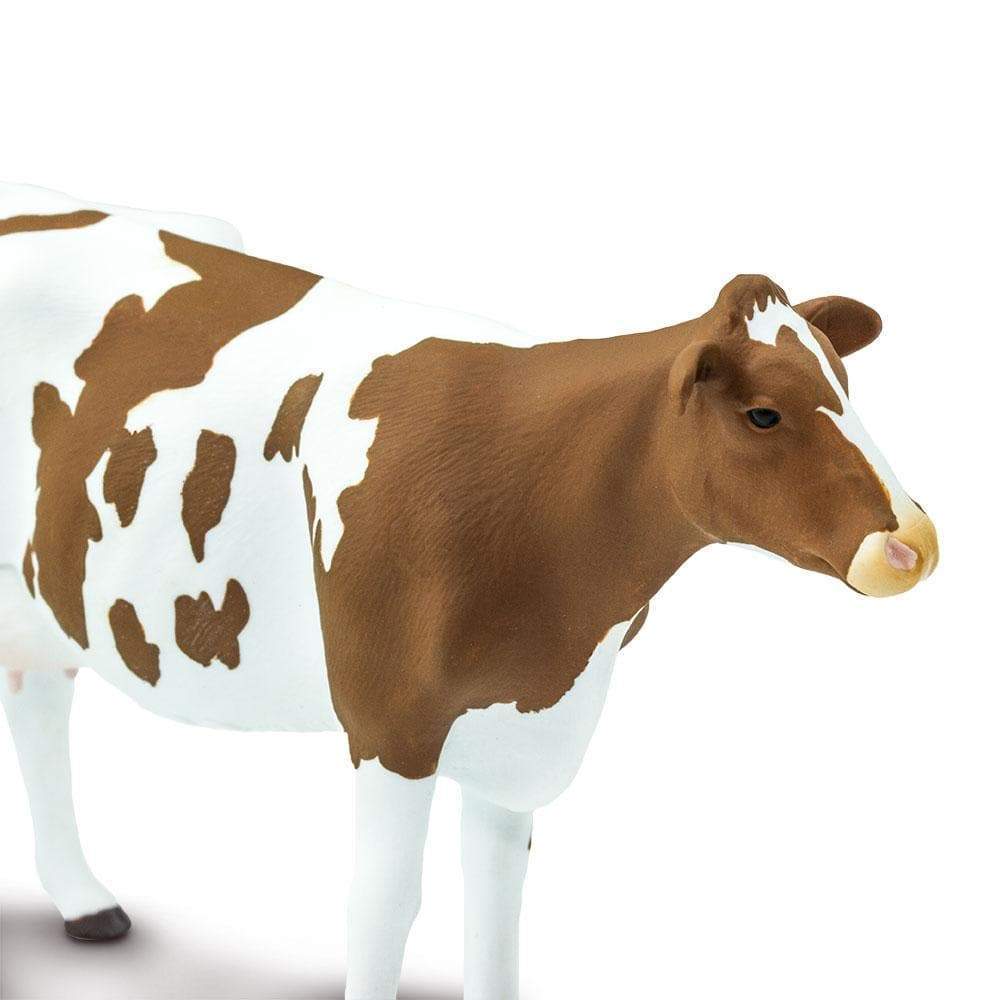 Ayrshire Cow Toy | Farm | Safari Ltd®