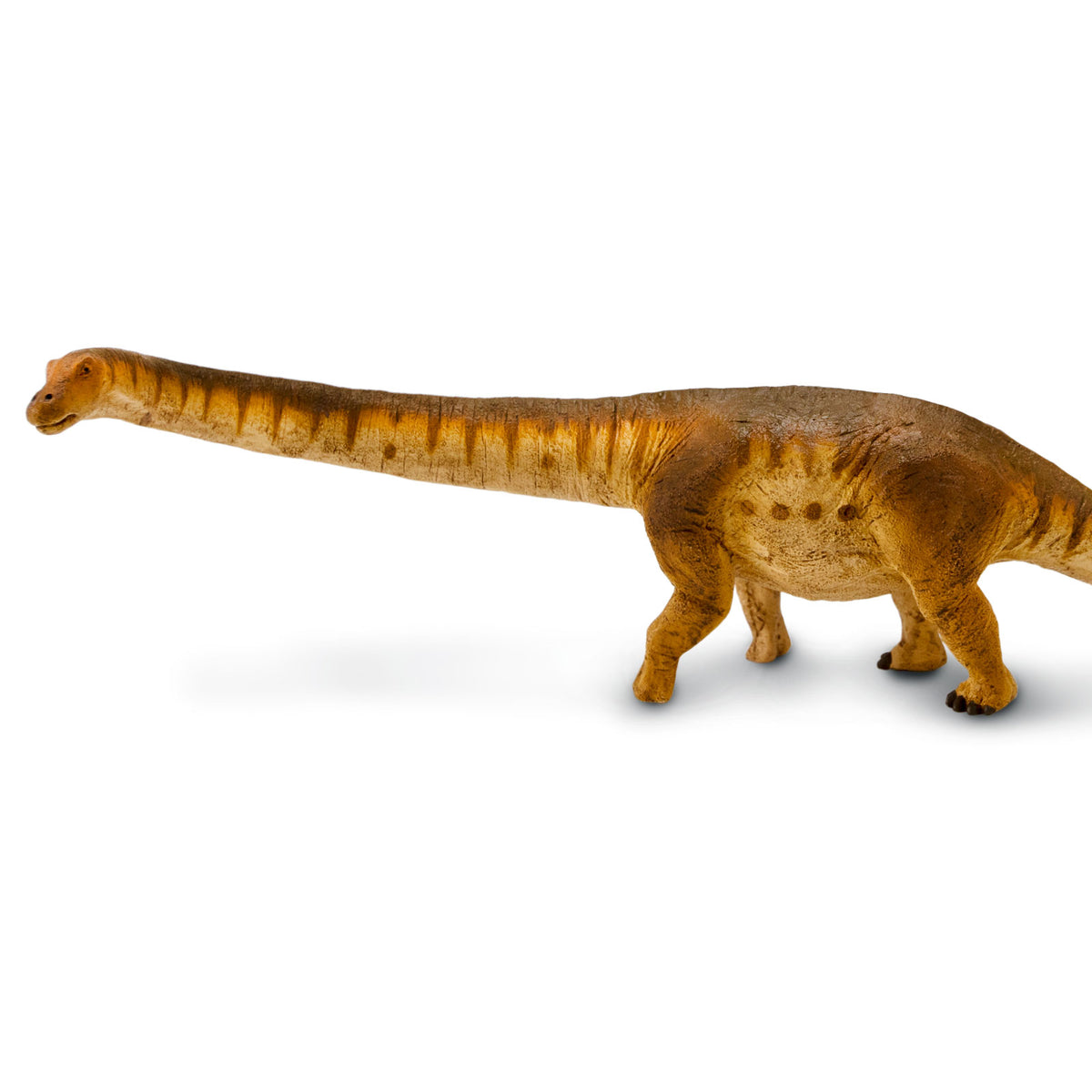Safari Ltd Velociraptor avec Plumes 20.3cm | Figurine de Dinosaure | Non Toxique et sans BPA | Convient aux Enfants de 3 Ans et Plus, Marron Safari Ltd Velociraptor avec Plumes 20.3cm | Figurine de Dinosaure | Non Toxique et sans BPA | Convient aux Enfants de 3 Ans et Plus, Marron