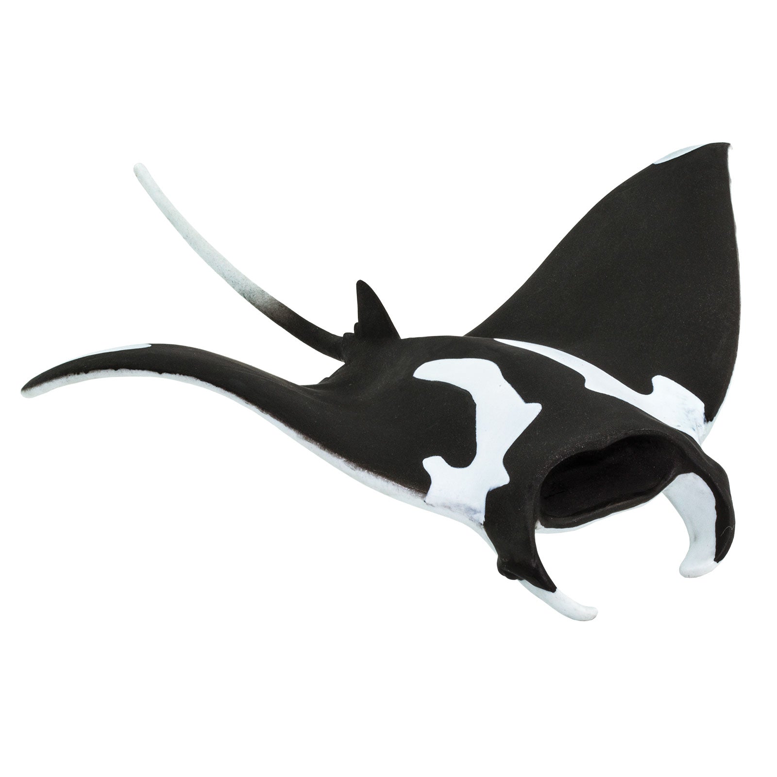 【中古】 Estratexa Manta Ray 3dc52402-54af-454a-8ec5-