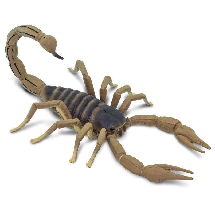 Scorpion Toy | Incredible Creatures | Safari Ltd®