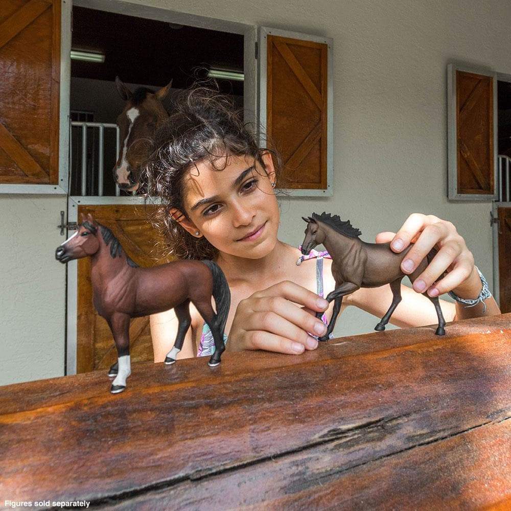 Morgan Stallion Toy | Farm | Safari Ltd®