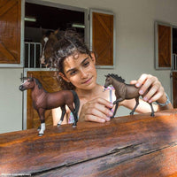 Morgan Stallion Toy | Farm | Safari Ltd®