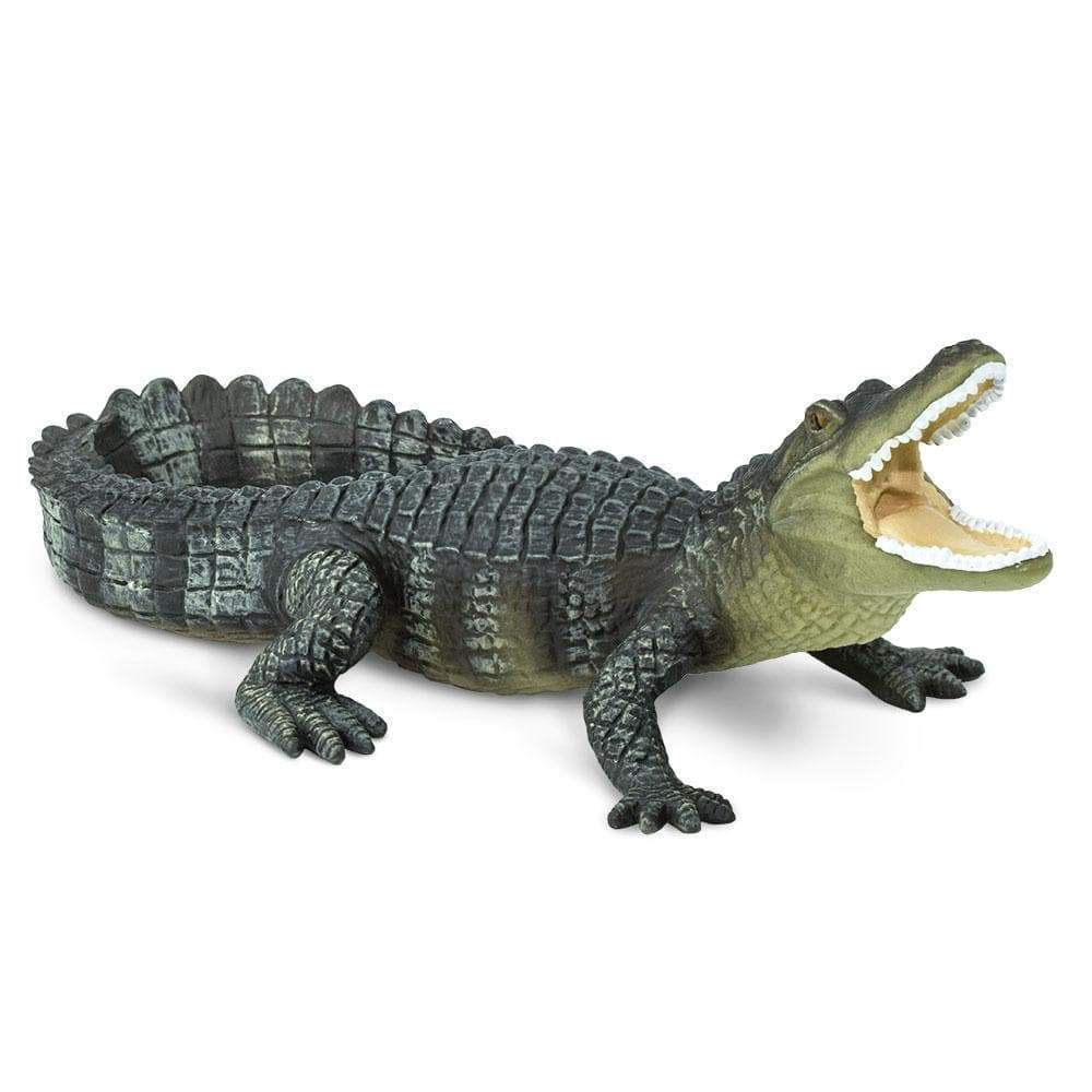 Alligator Toy | Wildlife Animal Toys | Safari Ltd®