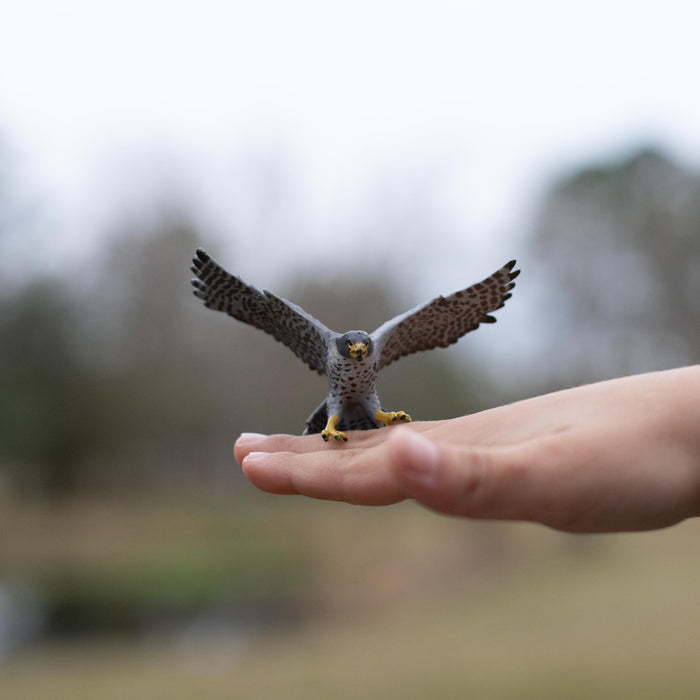 Peregrine Falcon Toy | Wildlife Animal Toys | Safari Ltd®