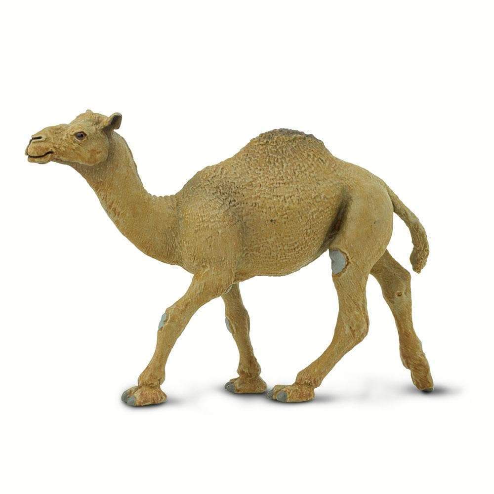 Dromedary Camel Toy | Wildlife Animal Toys | Safari Ltd®