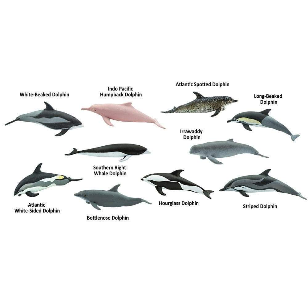 Dolphins TOOB® | TOOBS® - Mini Toys | Safari Ltd®