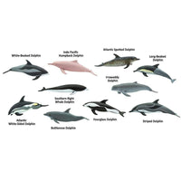 Dolphins TOOB® | TOOBS® - Mini Toys | Safari Ltd®