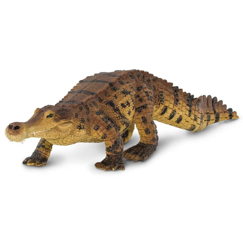 CollectA Prehistoric Life Sarcosuchus Dinosaur Toy – #88334, Detailed Plastic Figurine