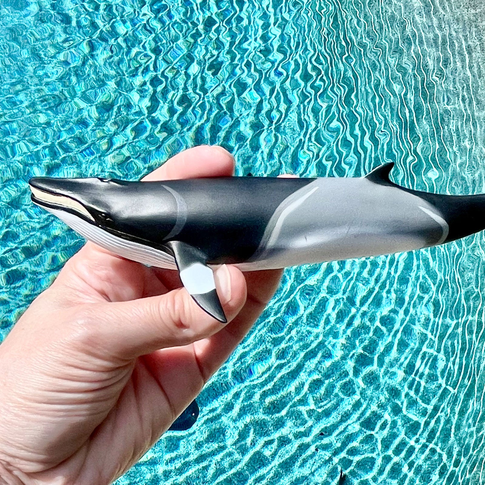 Minke Whale Toy | Safari Ltd®
