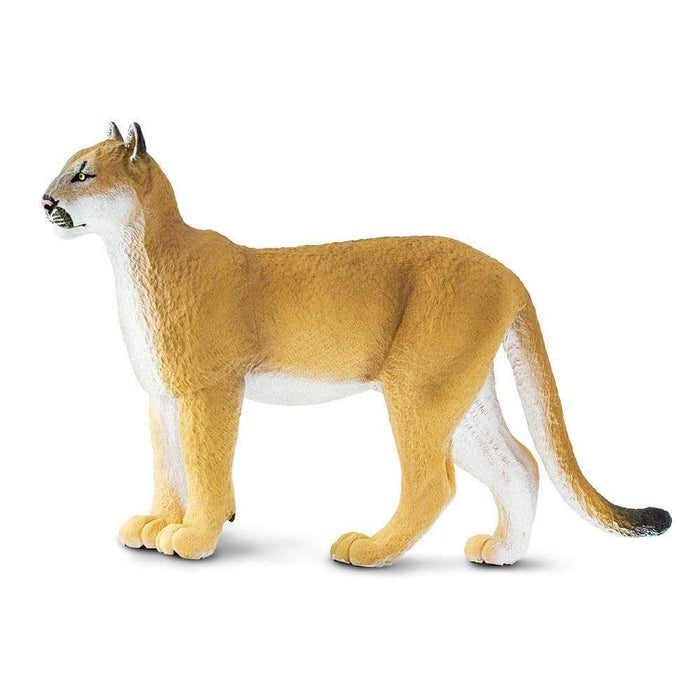 Florida Panther Toy | Wildlife Animal Toys | Safari Ltd®
