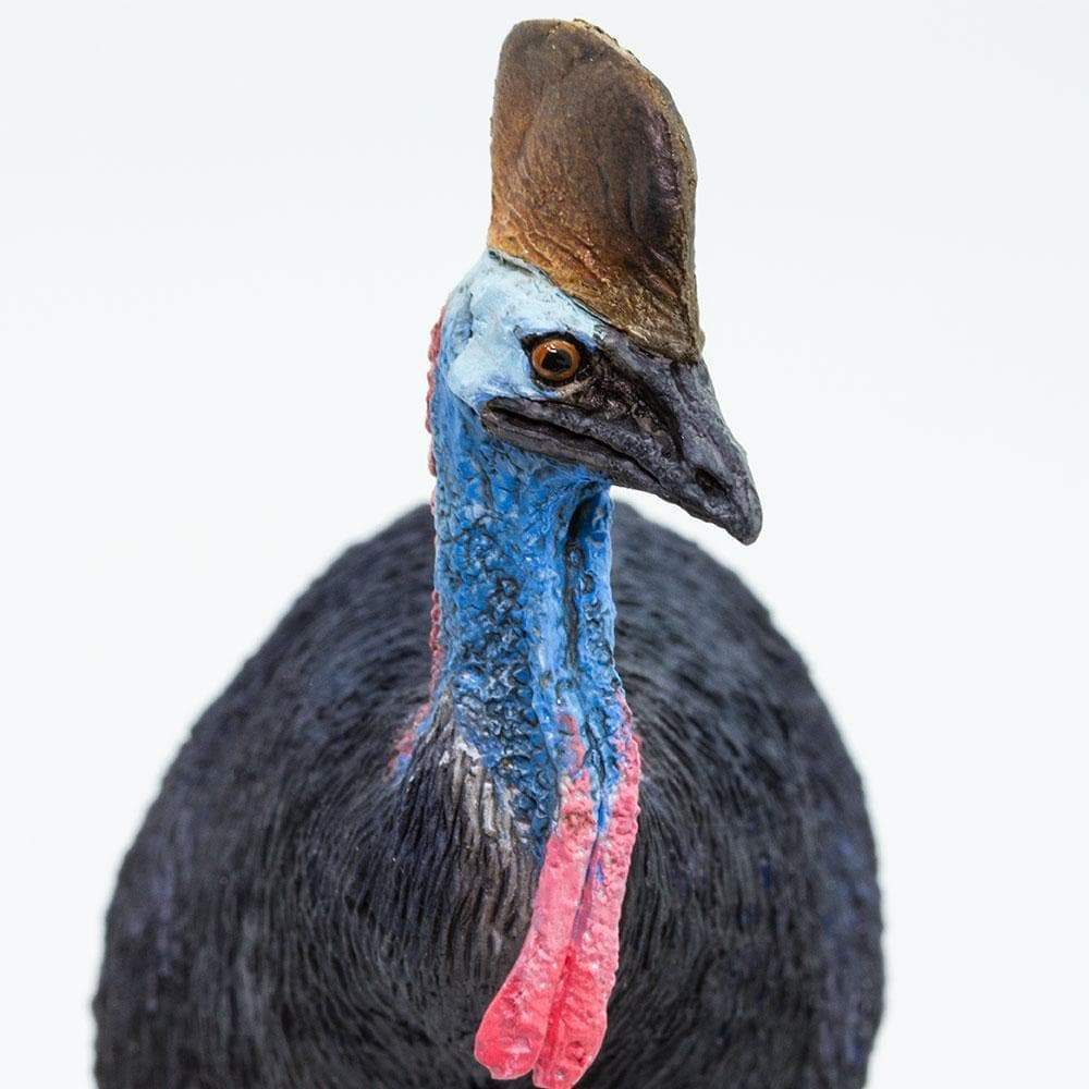 Cassowary Toy | Wildlife Animal Toys | Safari Ltd®