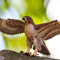 Red-Tailed Hawk Toy | Wildlife Animal Toys | Safari Ltd®