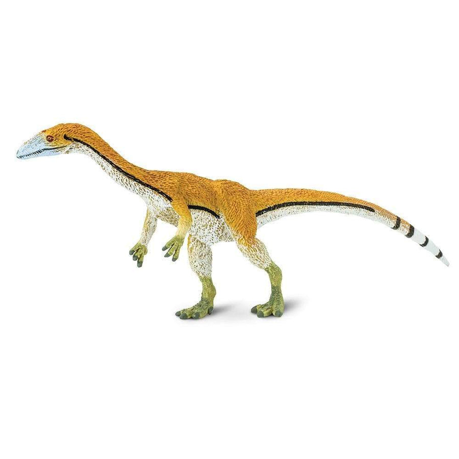 Coelophysis Toy | Dinosaur Toys | Safari Ltd.