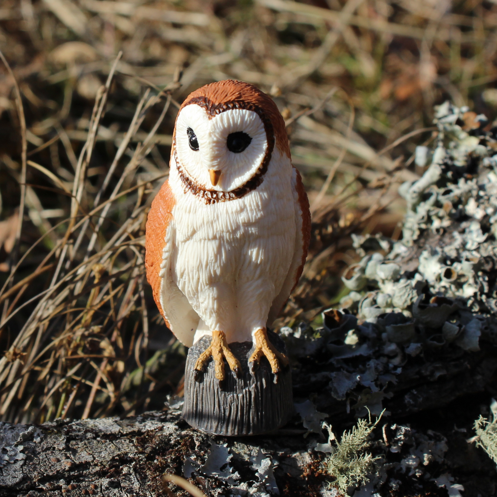 Barn Owl | Wildlife Animal Toys | Safari Ltd®
