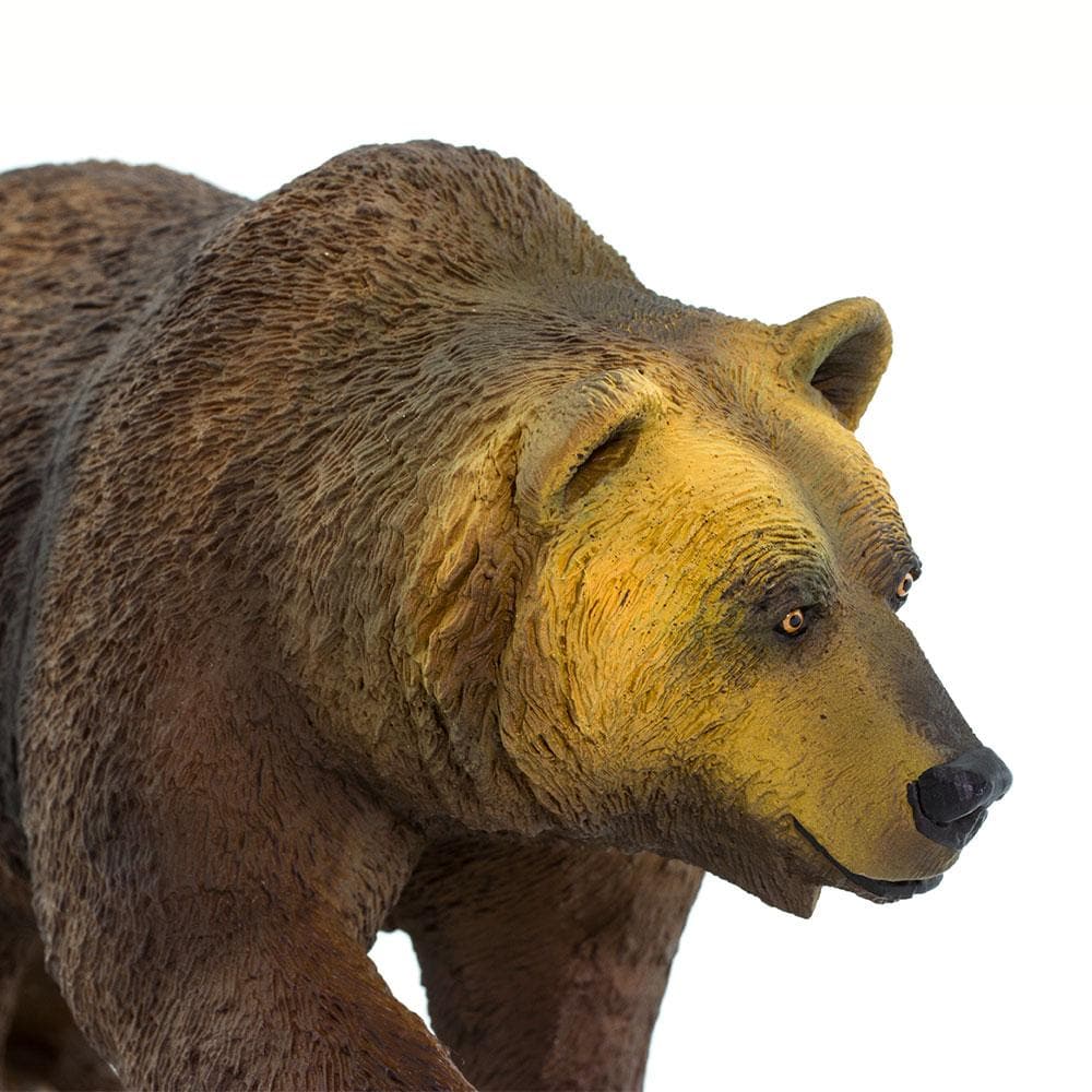 Grizzly Bear Toy | Wildlife Animal Toys | Safari Ltd®