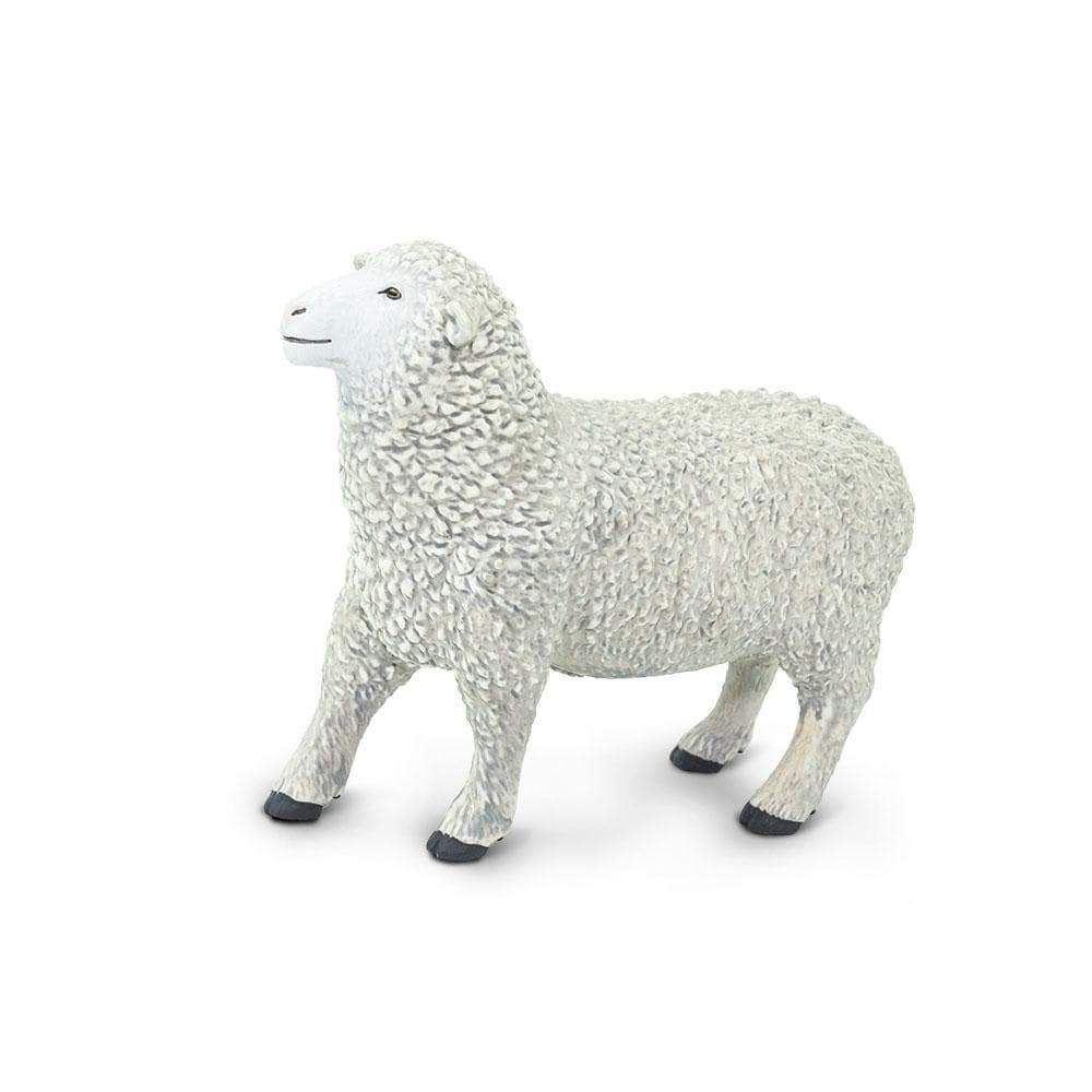 Sheep | Farm | Safari Ltd®