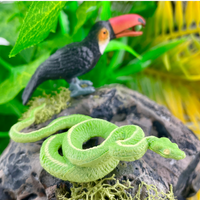 Rainforest TOOB® | TOOBS® - Mini Toys | Safari Ltd®