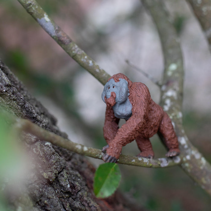 Male Orangutan Toy | Wildlife Animal Toys | Safari Ltd®