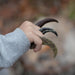 GEOWorld Dino Claws Replica Collection - 6 pieces |  | Safari Ltd®