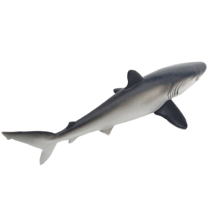 Silky Shark Toy Figure | Wild Safari Sea Life | Safari Ltd®