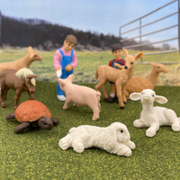 Petting Zoo TOOB® | TOOBS® - Mini Toys | Safari Ltd®