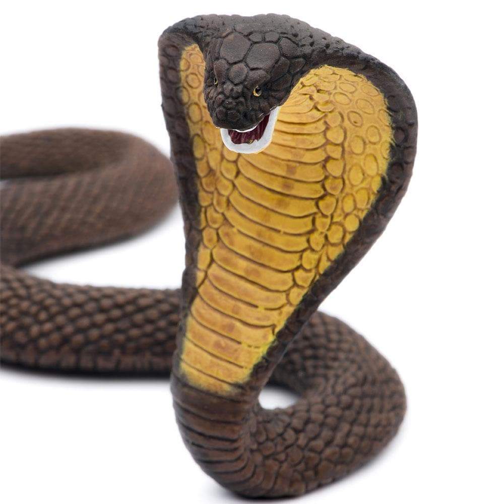 Cobra Toy | Wildlife Animal Toys | Safari Ltd®