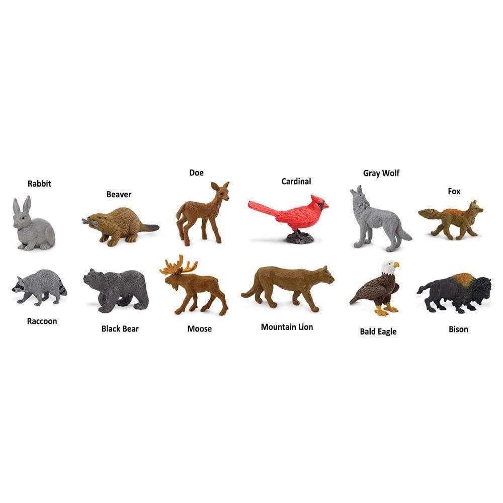 Nature TOOB® | TOOBS® - Mini Toys | Safari Ltd®