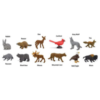 Nature TOOB® | TOOBS® - Mini Toys | Safari Ltd®