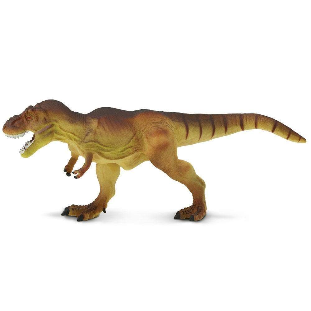Tyrannosaurus Rex Toy | Realistic T. rex Figure by Safari Ltd