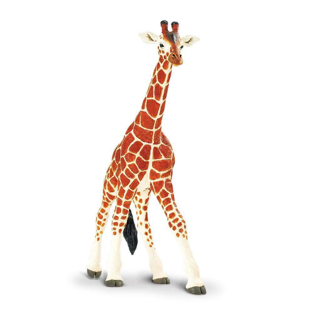 Reticulated Giraffe Toy | Wildlife Animal Toys | Safari Ltd®
