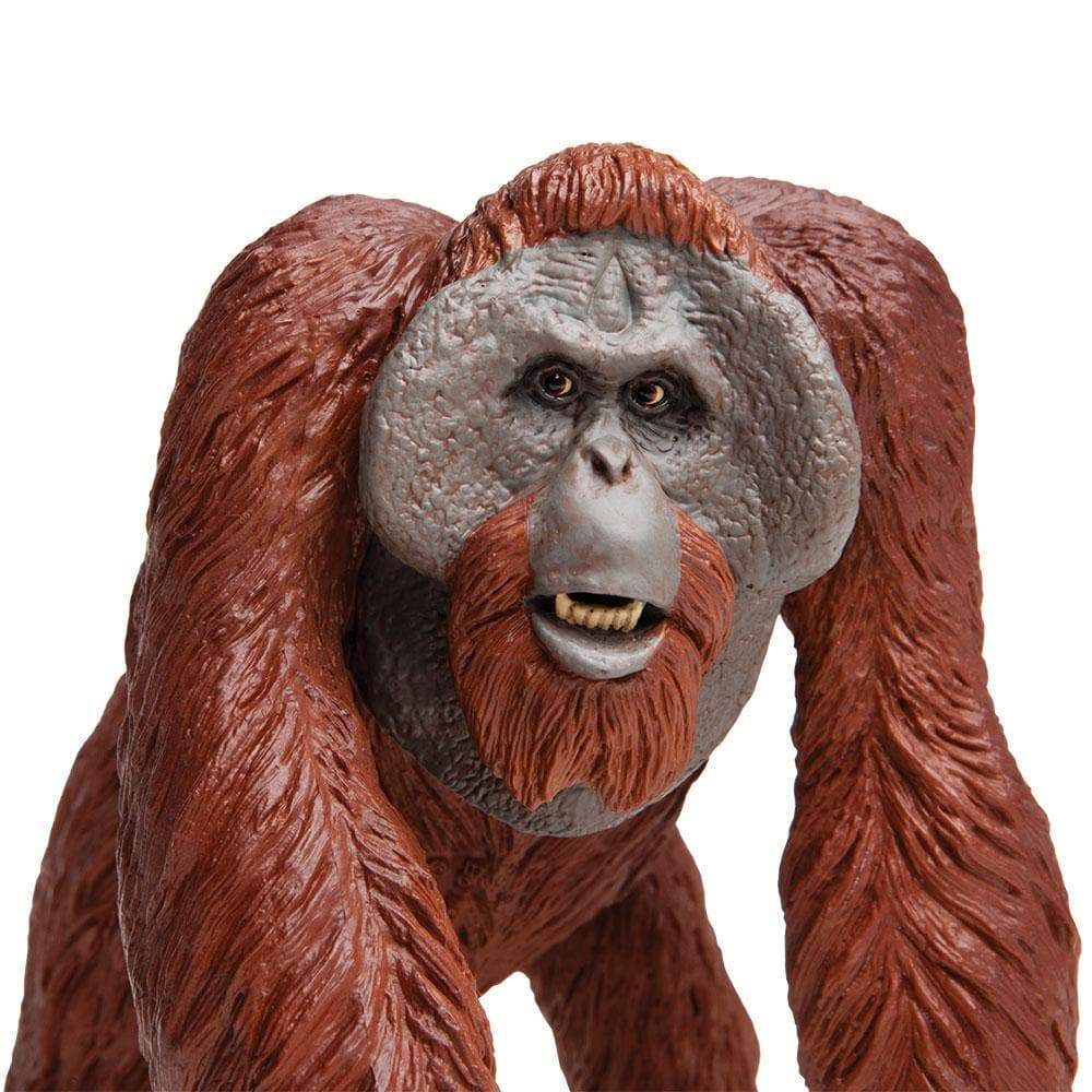 Bornean Orangutan Toy | Wildlife Animal Toys | Safari Ltd®