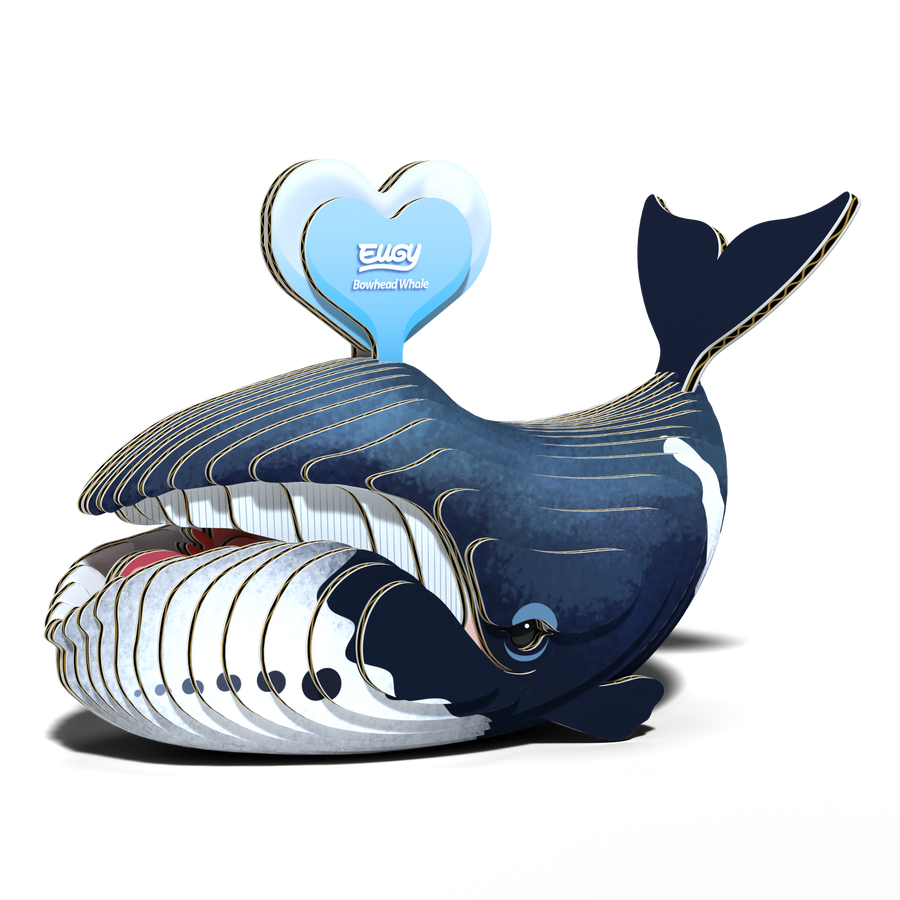 EUGY Bowhead Whale 3D Puzzle | Eugy | Safari Ltd®