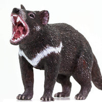 Tasmanian Devil Toy | Wildlife Animal Toys | Safari Ltd®