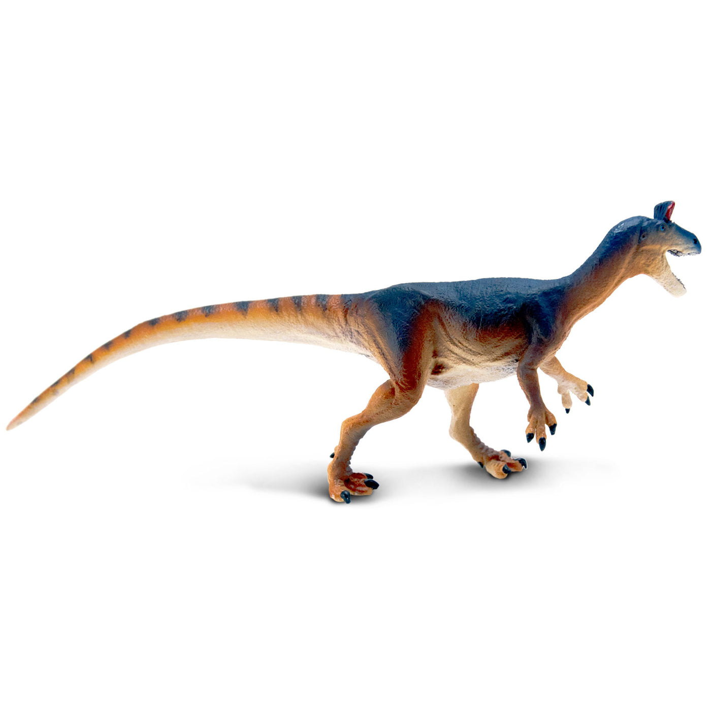 Cryolophosaurus Toy Dinosaur Figure |  | Safari Ltd®