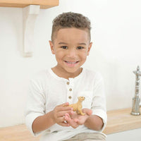 Lion Cub Toy | Wildlife Animal Toys | Safari Ltd®