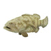 Goliath Grouper Toy | Incredible Creatures | Safari Ltd®