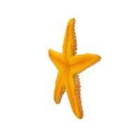 Orange Starfish Toy | Sea Life | Safari Ltd®