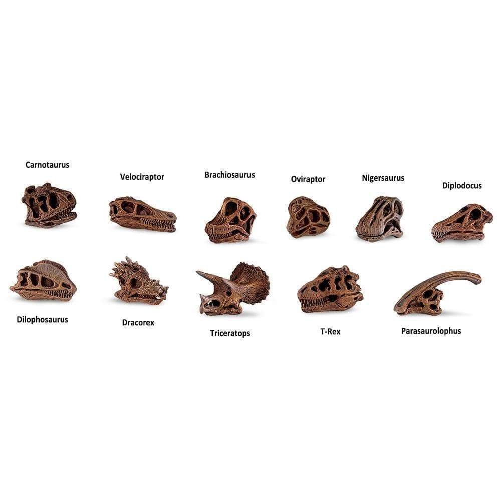 Dino Skulls Bulk Bag Toy | Bulk Bags | Safari Ltd®