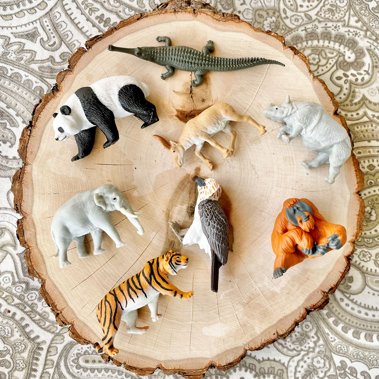 Asian Animals TOOB® | Safari Ltd®