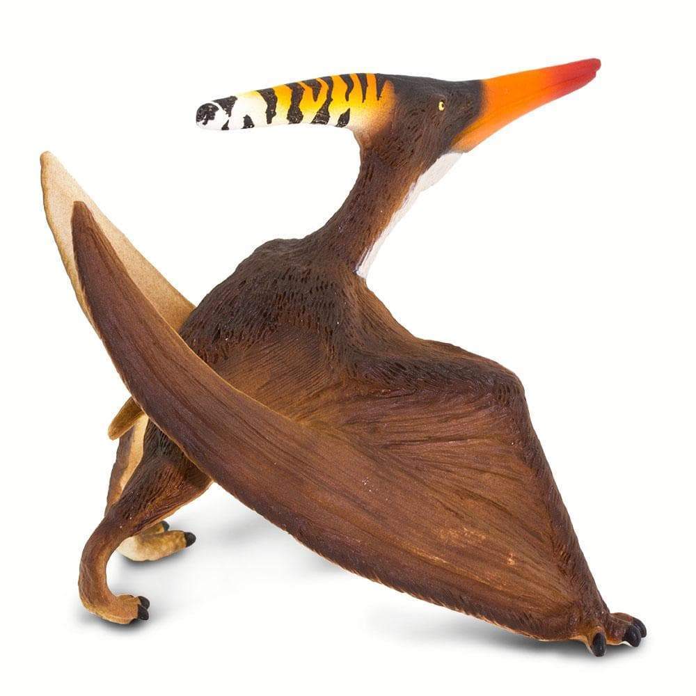 Pteranodon | Dinosaur Toys | Safari Ltd®