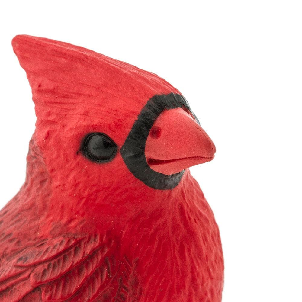 Cardinal Toy | Incredible Creatures | Safari Ltd®