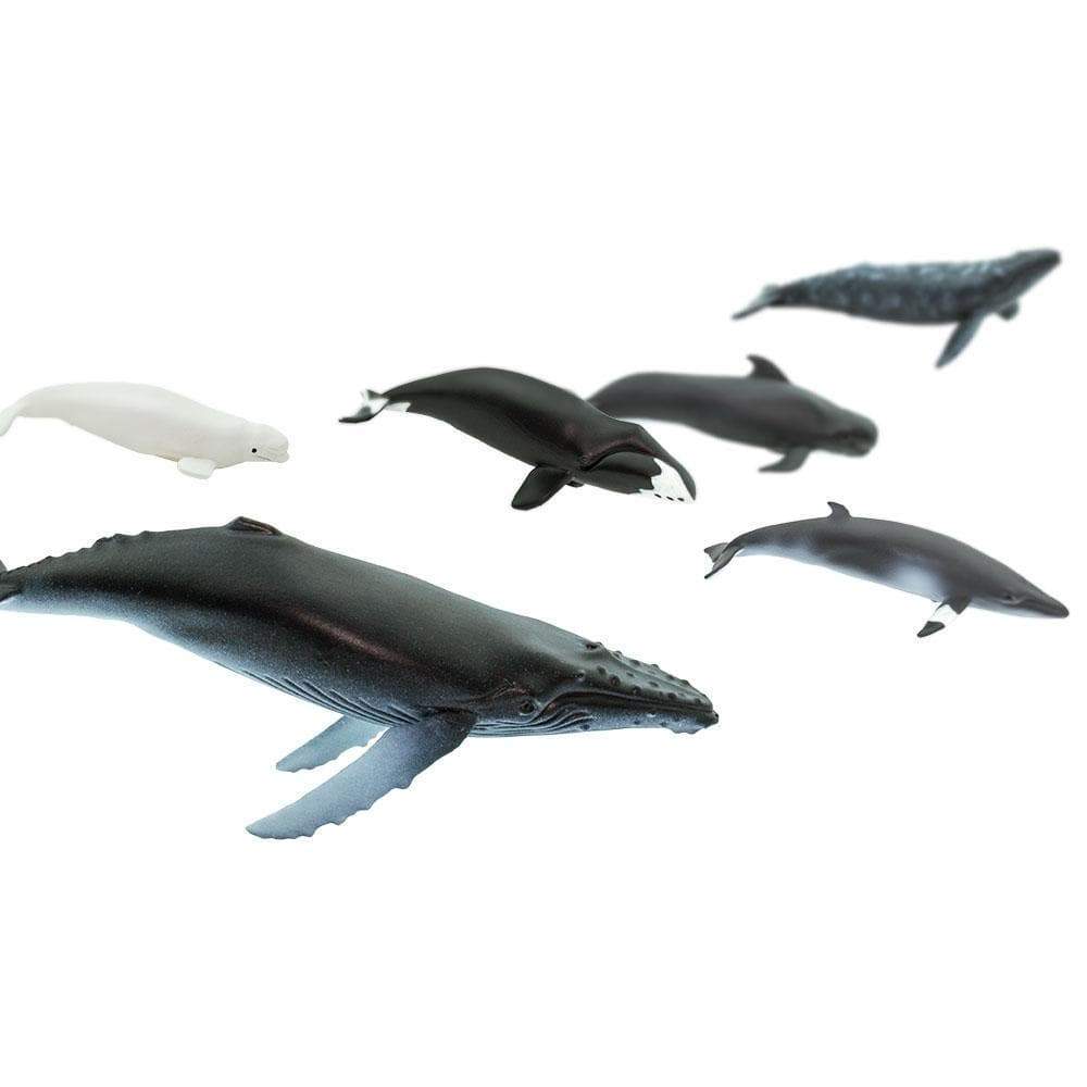 Whales TOOB® | TOOBS® - Mini Toys | Safari Ltd®