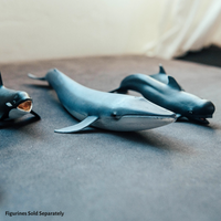 Blue Whale Toy | Sea Life | Safari Ltd®