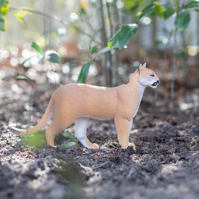Florida Panther Toy | Wildlife Animal Toys | Safari Ltd®