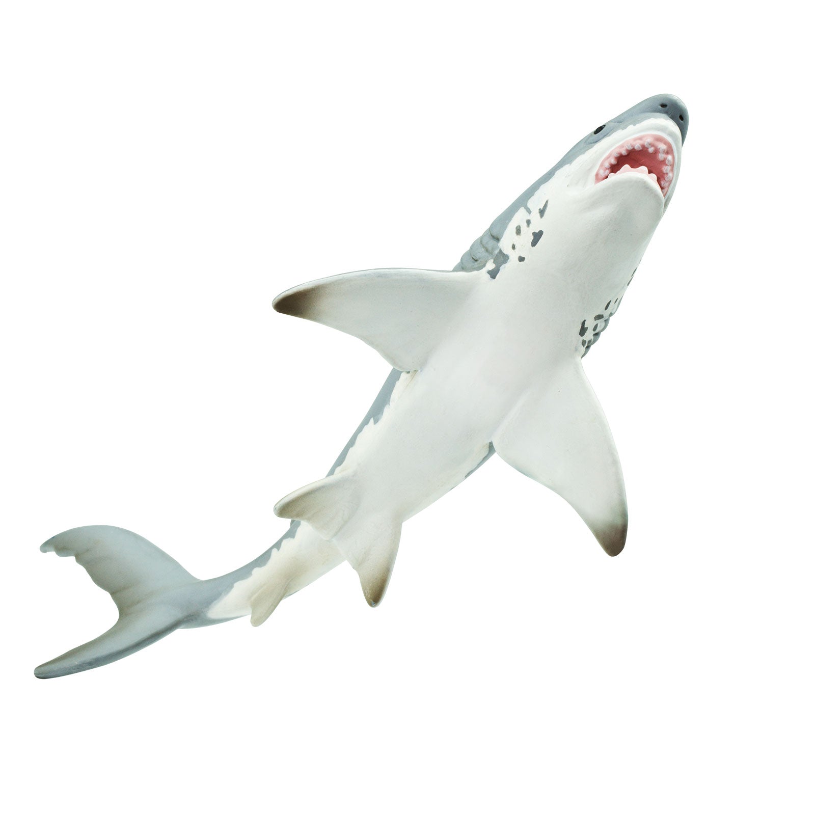 Great White Shark Toy | Sea Life | Safari Ltd®
