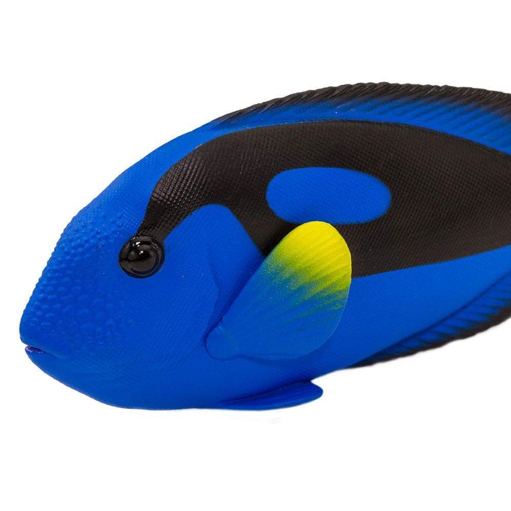Blue Tang Toy | Incredible Creatures | Safari Ltd®